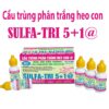 Cau-trung-phan-trang-heo con-10ml