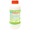 MEN PHUN BACILLUs @
