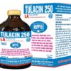 Tulacin 250@ happy